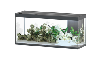 Visuel 1 du produit Aquarium coloris gris Aquatlantis Sublime Ultra LED 2.0 419 L - 150 x 50 x 70 cm