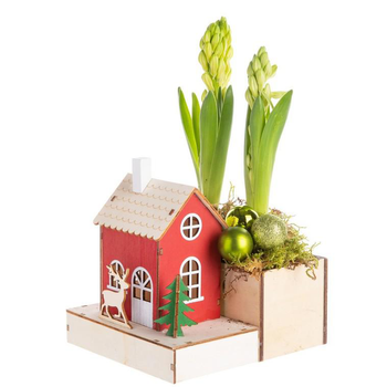 Visuel 1 du produit Composition de Noël duo jacinthes multicolore chalet rouge
