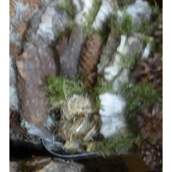 Visuel 1 du produit Couronne de bouleau et de mousse.