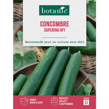 Visuel 1 du produit Graines de concombre superina HF1 botanic® - graines à semer