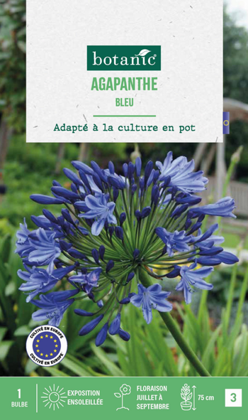 Visuel 1 du produit Agapanthe botanic® coloris bleu - 1 bulbe