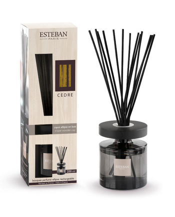 Visuel 1 du produit Bouquet parfumé et recharge Esteban Ellipse beige parfum Cèdre - 200 ml
