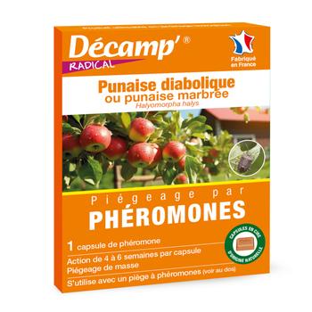 Visuel 1 du produit Phéromones contre les punaises diaboliques Decamp