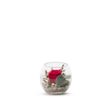 Visuel 1 du produit Verrine de végétaux stabilisés rose rouge et eucalyptus Naturalys Venezia 8 - Ø 8 x H 8 cm