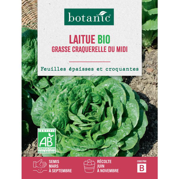 Visuel 1 du produit Graines de laitue grasse craquerelle du midi bio botanic® - graines à semer