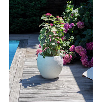 Visuel 1 du produit Pot egg Graphit blanc cérusé D50 x H45