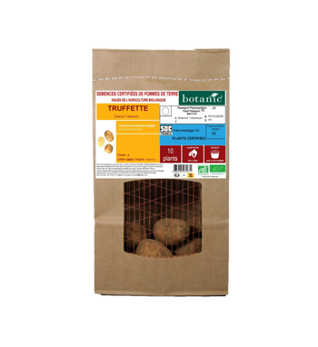 Visuel 1 du produit Pommes de terre Truffette bio botanic® - 10 plants
