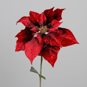 Visuel 1 du produit Tige de poinsettia en velours bordeaux - 56 cm