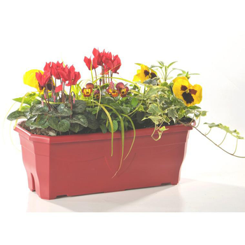 Visuel 1 du produit Jardinière d'automne - La jardinière de 40 cm