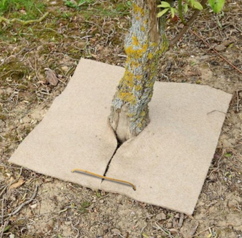 Visuel 1 du produit Carrés de chanvre pour paillage coloris beige 800gr/m² x 2 - 40 x 40 cm