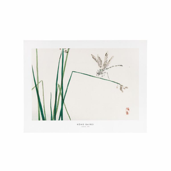 Visuel 1 du produit Affiche libellule - 30 x 40 cm