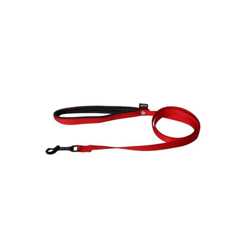 Visuel 1 du produit Laisse chien nylon 25 mm / 120 cm rouge
