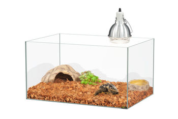 Visuel 1 du produit Kit pour bébé tortue terrestre coloris transparent Terratlantis - 65 x 45 x 35 cm