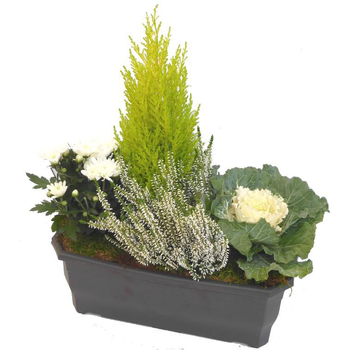 Visuel 1 du produit Jardinière d'automne blanche - La jardinière de 40 cm