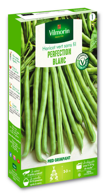 Visuel 1 du produit Haricot vert grimpant Blanc de Juillet Vilmorin - graines à semer