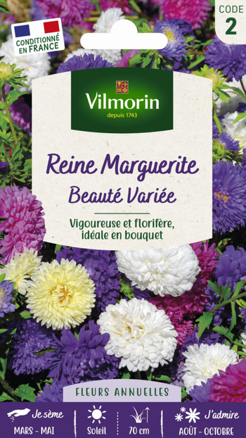 Visuel 1 du produit Graines de Reine Marguerite Beauté variée Vilmorin - graines à semer