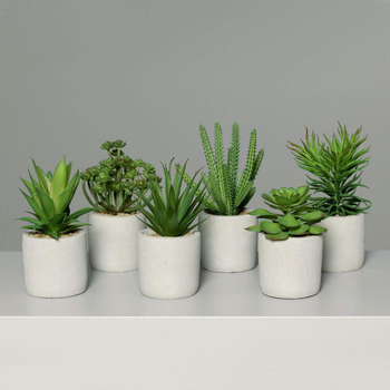 Visuel 1 du produit Succulente artificielle verte en pot bÃ©ton gris - 20 cm