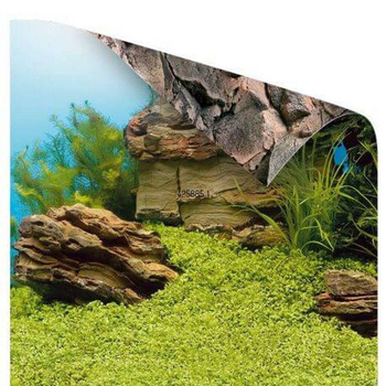 Visuel 1 du produit Poster pour aquarium taille S 60x30 cm