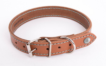 Visuel 1 du produit Collier pour chien en cuir coloris cognac turquoise Martin Sellier Flash - Taille 31/62