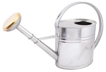 Visuel 1 du produit Arrosoir en acier galvanisé coloris argent Nogent - 4 L