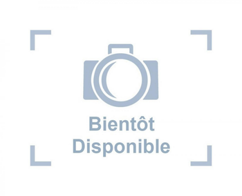 Visuel 1 du produit Robinet pour filtre sans plomb, AQUA NOVA - modèle NCF 600-800