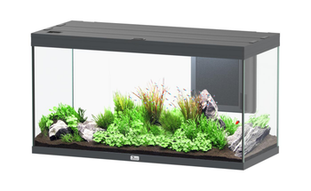 Visuel 1 du produit Aquarium coloris gris Aquatlantis Volga LED 2.0 350 L - 122 x 52 x 66 cm