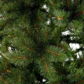 Visuel 1 du produit Sapin de Noël artificiel coloris vert Forest - H 260 x Ø 168 cm