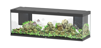 Visuel 1 du produit Aquarium coloris noir Aquatlantis Sublime Ultra LED 2.0 675 L - 200 x 60 x 75 cm