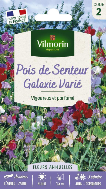 Visuel 1 du produit Graines de Pois de senteur Galaxie varié Vilmorin - graines à semer