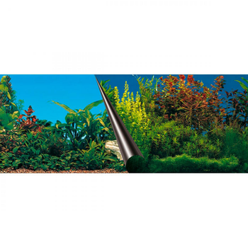 Visuel 1 du produit Poster aquarium thème marin, EUROPET BERNINA, modèle Beauty/Sea - 80x40cm