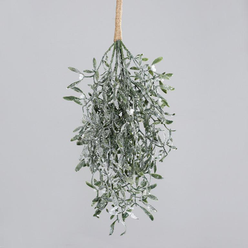 Visuel 1 du produit Botte de gui vert givré - 55 cm