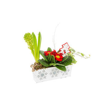 Visuel 1 du produit Jacinthe Prim Hedera Jardinière Zinc Flocon blanc