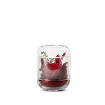 Visuel 1 du produit Verrine de végétaux stabilisés coloris rouge Naturalys Capsule - Ø 8 x H 12 cm