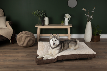 Visuel 1 du produit Coussin pour chien coloris marron Scruffs Woodlands – Taille M