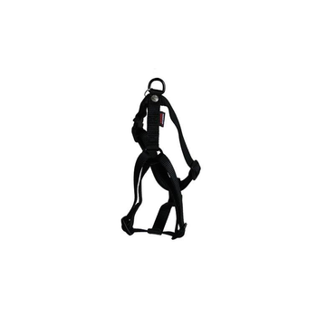 Visuel 1 du produit Harnais réglable Noir 35/50cm Martin Sellier