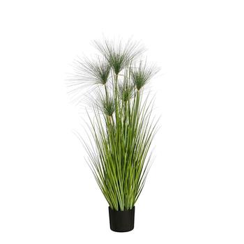 Visuel 1 du produit Papyrus artificiel en pot - Ø 17 x H 127 cm