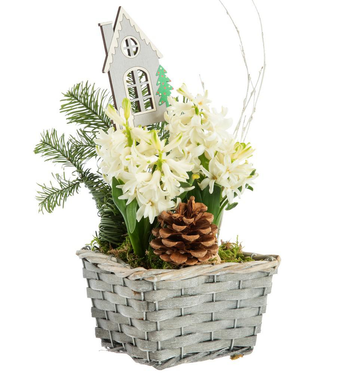 Visuel 1 du produit Composition florale automne hiver en cache-pot gris tressé - Ø 20 cm