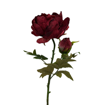 Visuel 1 du produit Tige de pivoine rouge en papier aspect fleur séchée Naturalys - 62 cm