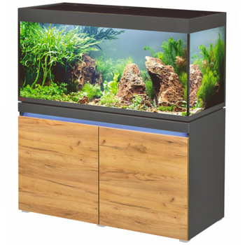 Visuel 1 du produit Aquarium en graphite naturel, LED, EHEIM AQUARIUM Incpiria 430 - 430L