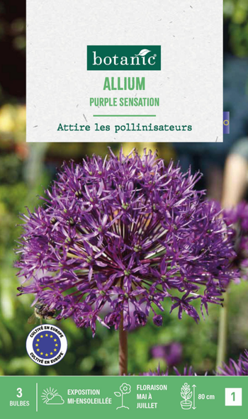 Visuel 1 du produit Allium purple sensation en mélange botanic® - 3 bulbes