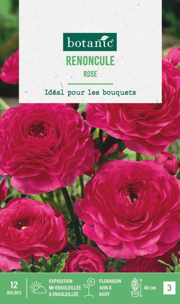 Visuel 1 du produit Renoncule coloris rose botanic® - 12 bulbes