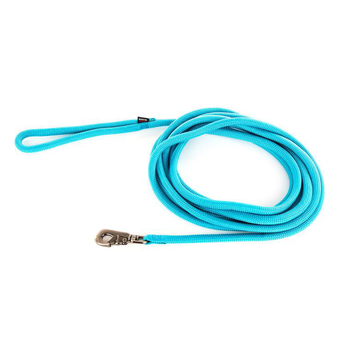 Visuel 1 du produit Longe ronde pour chien coloris turquoise 1,3 cm x 5 m