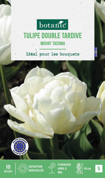 Visuel 1 du produit Tulipe mount tacoma botanic® - 10 bulbes