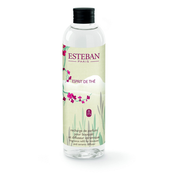 Visuel 1 du produit Recharge Esprit de thé pour bouquets parfumés Esteban - 250 ml