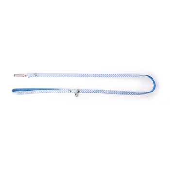 Visuel 1 du produit Laisse Pois pour chien coloris bleu - S