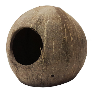 Visuel 1 du produit Noix de coco pour terrarium coloris marron Reptile Planet Coco Cave