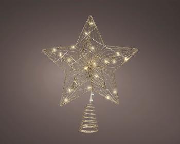Visuel 1 du produit Cimier intérieur or à micro LED blanc chaud - 20 x 30 cm