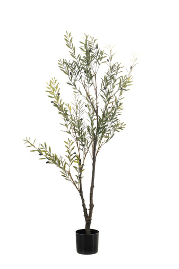Visuel 1 du produit Olivier artificiel en pot - Ø 60 x H 140 cm