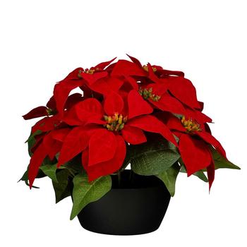 Visuel 1 du produit Poinsettia artificiel rouge en pot - Ø 35 x H 25 cm