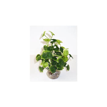 Visuel 1 du produit Hydrocolite vert en plastique 19 cm